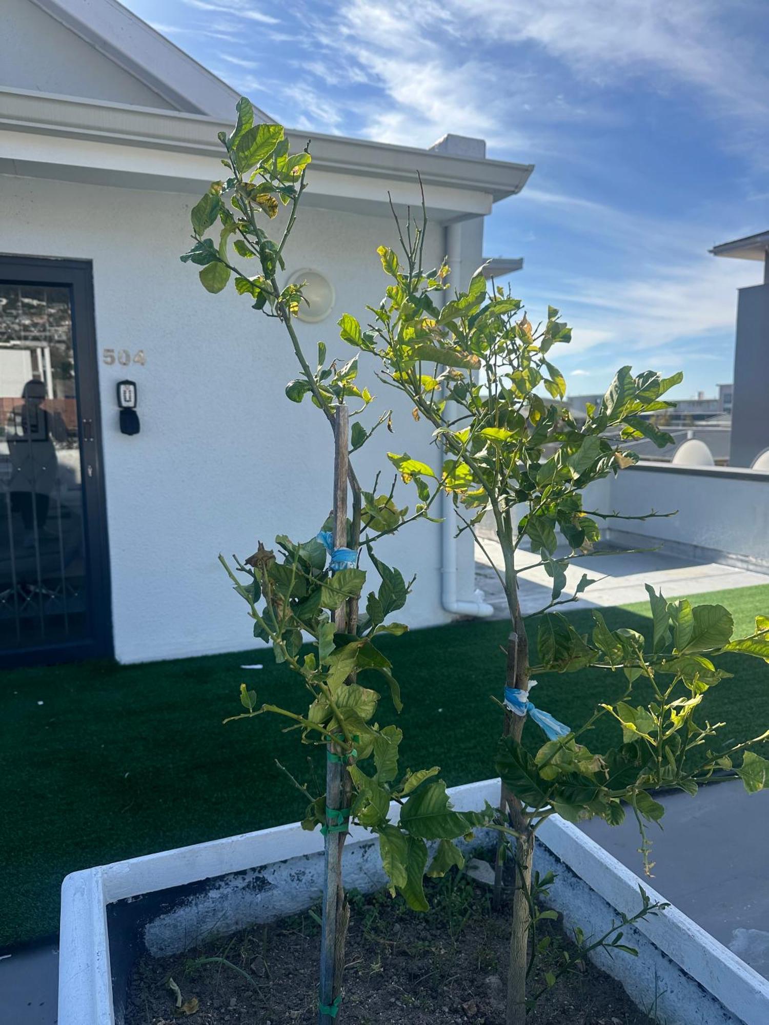Camborne Holiday Apartments Cape Town Bagian luar foto